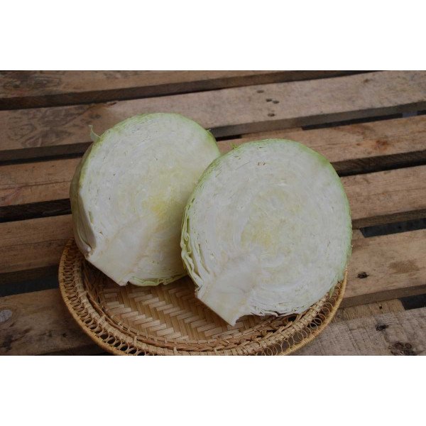 Насіння капусти білоголової Кубок F1 /10.000 насінин/ *Tezier*