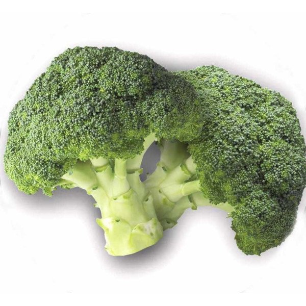 Насіння капусти броколі Бомонт F1 /2.500 насінин/ *Bejo Zaden*