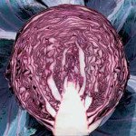 Капуста краснокочанная Редма F1 /2.500 семян калибр/ *Rijk Zwaan*