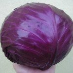 Капуста червоноголова Рубін F1 /1.000 насінин/ *Tezier*