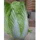 Насіння капусти пекінської Вілі F1 /2.500 насінин/ *Nong Woo Bio*