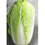 Капуста пекинская Нонгву Фёрст F1 /1.000 семян/ *Nong Woo Bio*