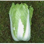 Капуста пекінська Саммер Хайленд F1 /2.500 насінин/ *Nong Woo Bio*