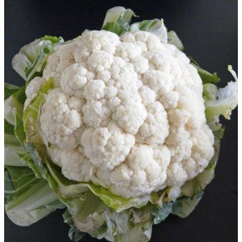 Капуста цвітна Супер сноу бол /100 грам/ *United Genetics*