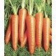 Семена моркови Вита Лонга /500 грамм/ *Bejo Zaden*