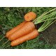 Насіння моркви Канада F1 /25.000 насінин (1,8-2,0 мм)/ *Bejo Zaden*