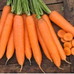 Морковь Сиркана F1 /100.000 семян/ *Nunhems Zaden*