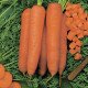 Насіння моркви Скарла /0,5 кг насіння/ *Tezier*