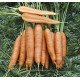 Насіння моркви Скарла /0,5 кг насіння/ *Tezier*