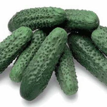 Огурец Акорд F1 /500 грамм/ *Bejo Zaden*