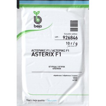 Огурец Астерикс F1 /1.000 семян/ *Bejo Zaden*