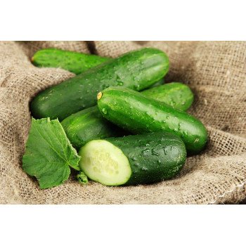 Огірок Гектор F1 /1.000 насінин/ *Nunhems Zaden*