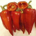 Перец сладкий Капи (Полька) F1 /1.000 семян/ *Rijk Zwaan*