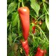 Насіння перцю солодкого Капі (Полька) F1 /1.000 насінин/ *Rijk Zwaan*