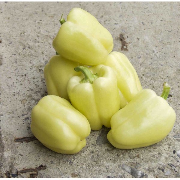 Насіння перцю солодкого Монтекристо F1 /1.000 насінин/ *Tezier*