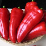 Перець солодкий Самандер F1 /1.000 насінин/ *Nunhems Zaden*