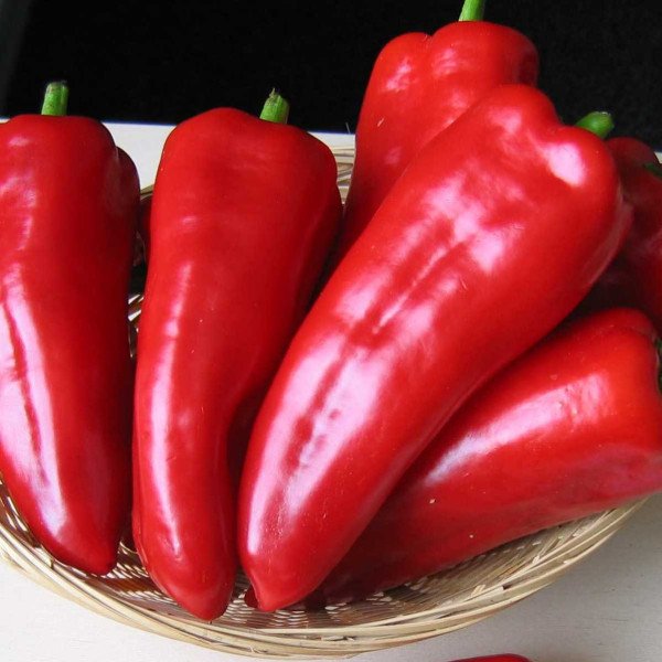 Насіння перцю солодкого Самандер F1 /1.000 насінин/ *Nunhems Zaden*