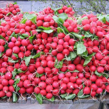 Редис Дабел F1 /10.000 семян/ *Nunhems Zaden*