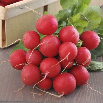 Редиска Кримсон Гігант /0,5 кг насіння/ *Anseme*