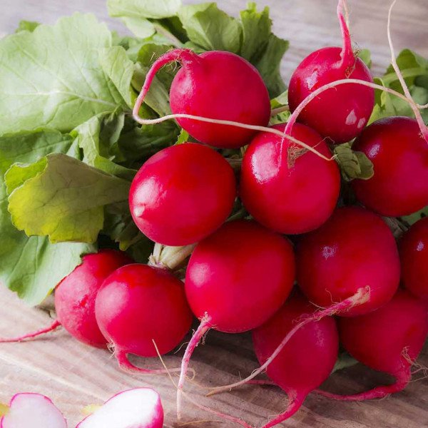 Насіння редиски Хельро /250 г/ *Rijk Zwaan*