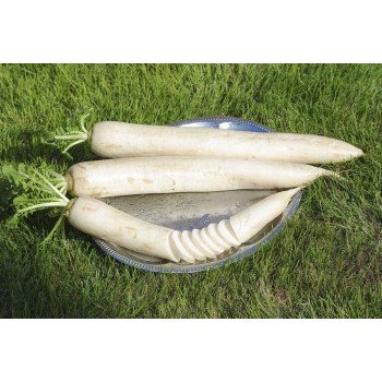 Редька Міно Ерлі Лонг Вайт F1 /10.000 насінин/ *Nong Woo Bio*