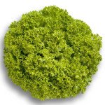 Салат Левистро /1.000 семян драже/ *Rijk Zwaan*