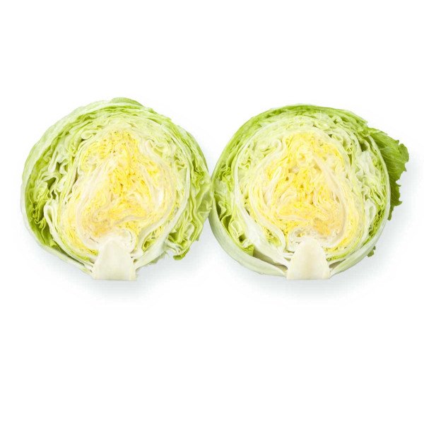 Насіння салату Платінас /1.000 насінин драже/ *Rijk Zwaan*