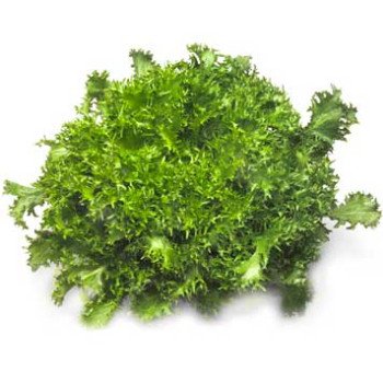 Салат Сигал /5.000 семян драже/ *Rijk Zwaan*