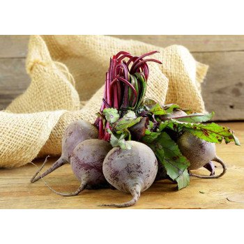 Свекла Бикорес /5.000 семян/ *Bejo Zaden*