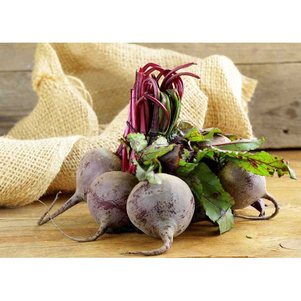 Насіння буряка Бікорес /5.000 насінин/ *Bejo Zaden*