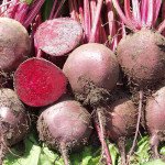 Буряк Боро F1 /5.000 насінин/ *Bejo Zaden*