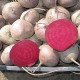 Насіння буряка Бебібіт /100.000 насінин PR/ *Rijk Zwaan*