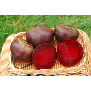 Буряк Ред Бул /1 кг насіння/ *United Genetics*