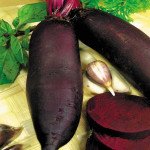 Свекла Цилиндра /5 кг семян/ *Anseme*