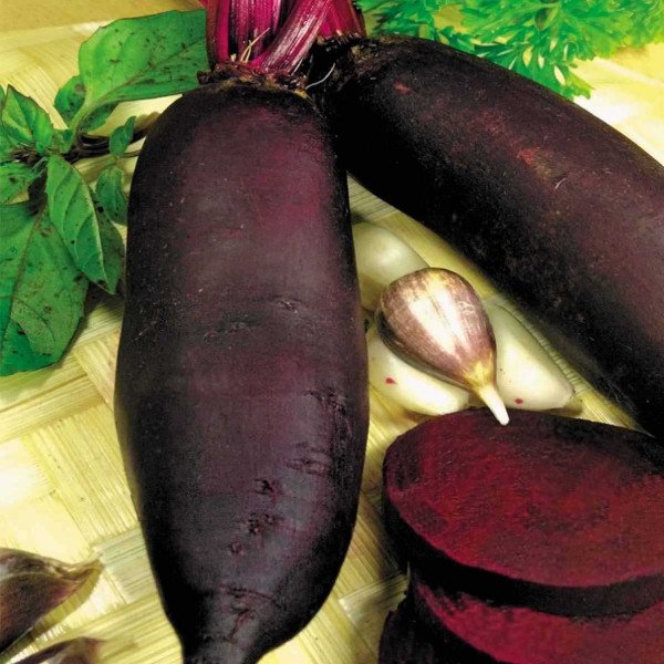 Семена свеклы Цилиндра /5 кг семян/ *Anseme*