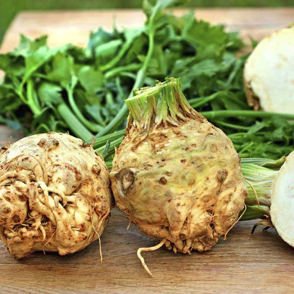 Семена сельдерея корневого Диамант /10.000 семян/ *Bejo Zaden*