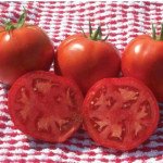 Томат Лакота F1 /250 семян/ *Dorsing Seeds*