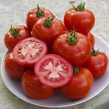 Томат Малик F1 /500 семян/ *Tezier*