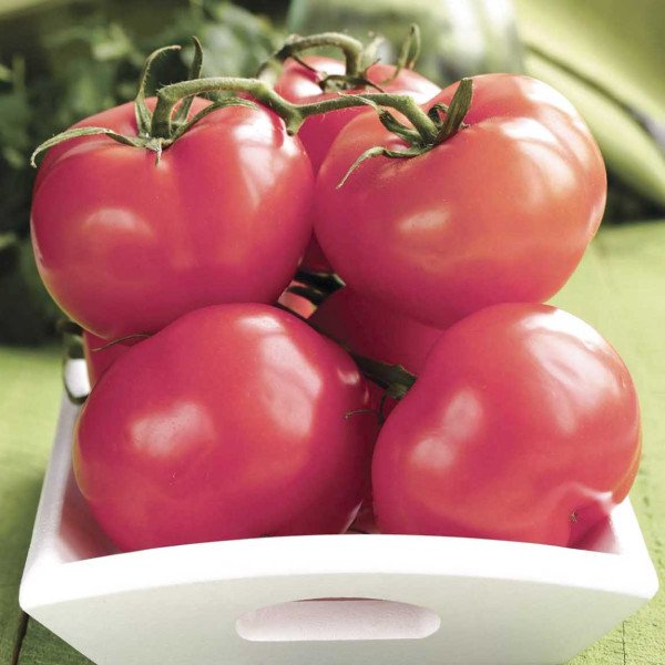 Семена томата Пинк Топ F1 /500 семян/ *Nong Woo Bio*