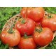 Семена томата Сита F1 /500 семян/ *Tezier*