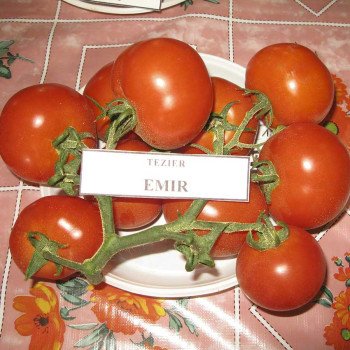 Томат Эмир F1 /500 семян/ *United Genetics*