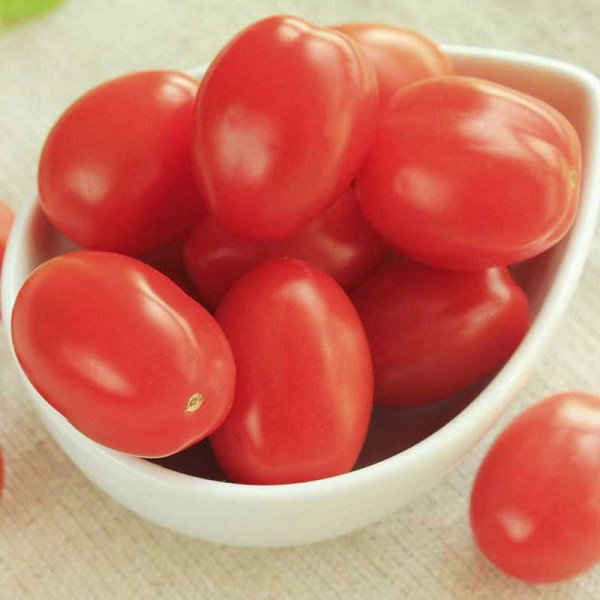 Семена томата Бриксол F1 /1.000 семян/ *United Genetics*