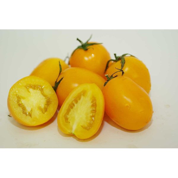 Семена томата Елоу ривер F1 /1.000 семян/ *United Genetics*