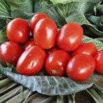 Томат Муна F1 /5.000 семян/ *Tezier*