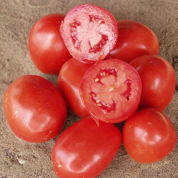 Семена томата Рио Гранде /0,5 кг семян/ *Tezier*