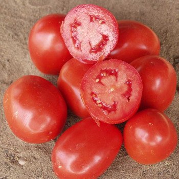 Томат Рио Гранде /0,5 кг семян/ *United Genetics*