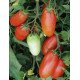 Насіння томату Точ F1 /5 грам/ *Bejo Zaden*