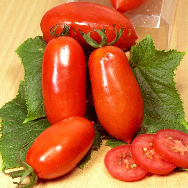 Насіння томату Цилао F1 /5 грам/ *Tezier*