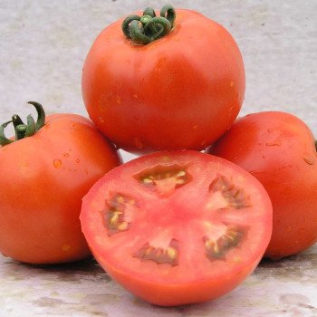 Томат Ламантин F1 /1.000 семян/ *Nunhems Zaden*