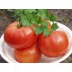 Насіння томату Полбіг F1 /5 грам/ *Bejo Zaden*